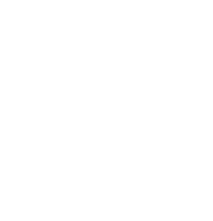 Icon Sp Epic Megagrants